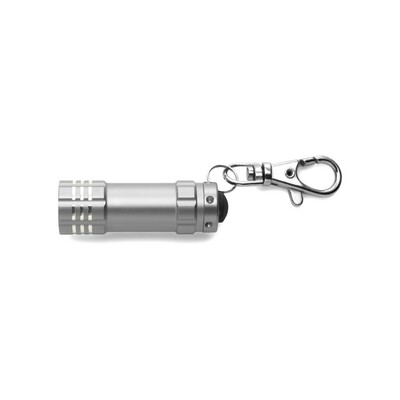Keyring with carabiner, LED light