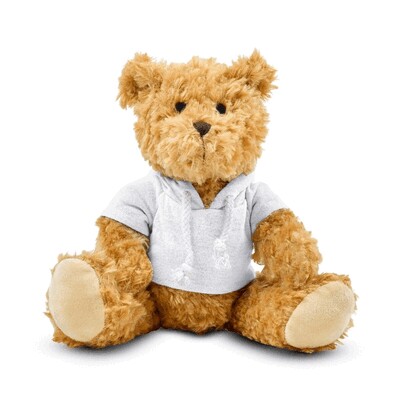 Teddybär mit Kapuze