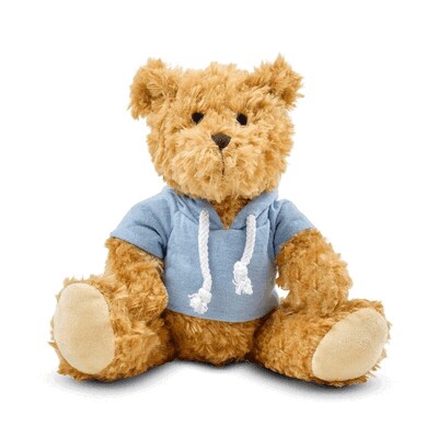 Teddybär mit Kapuze
